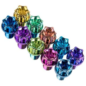 M6 X 10 ٹائٹینیم الائے Torx Flange بولٹس